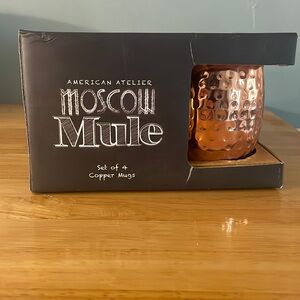 American atelier Moscow mule set of 4 (20oz)